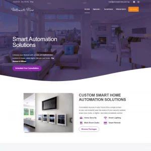 web design for Nigerian business smart home